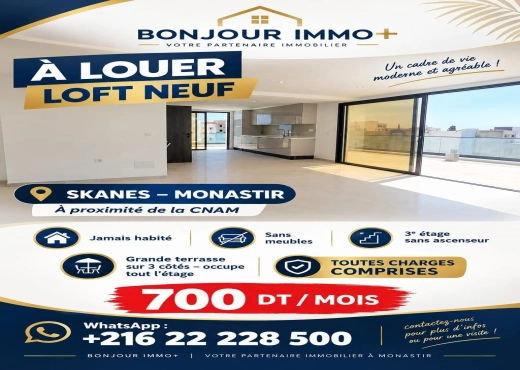 LOUER – LOFT NEUF AVEC GRANDE TERRASSE À SKANES